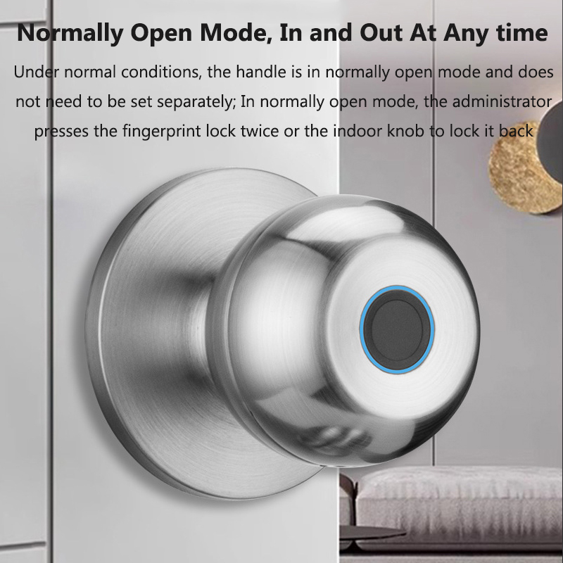 Tuya ドアロックスマート指紋キーロック解除 Blueto - Smart Home Door Lock のレビューと価格