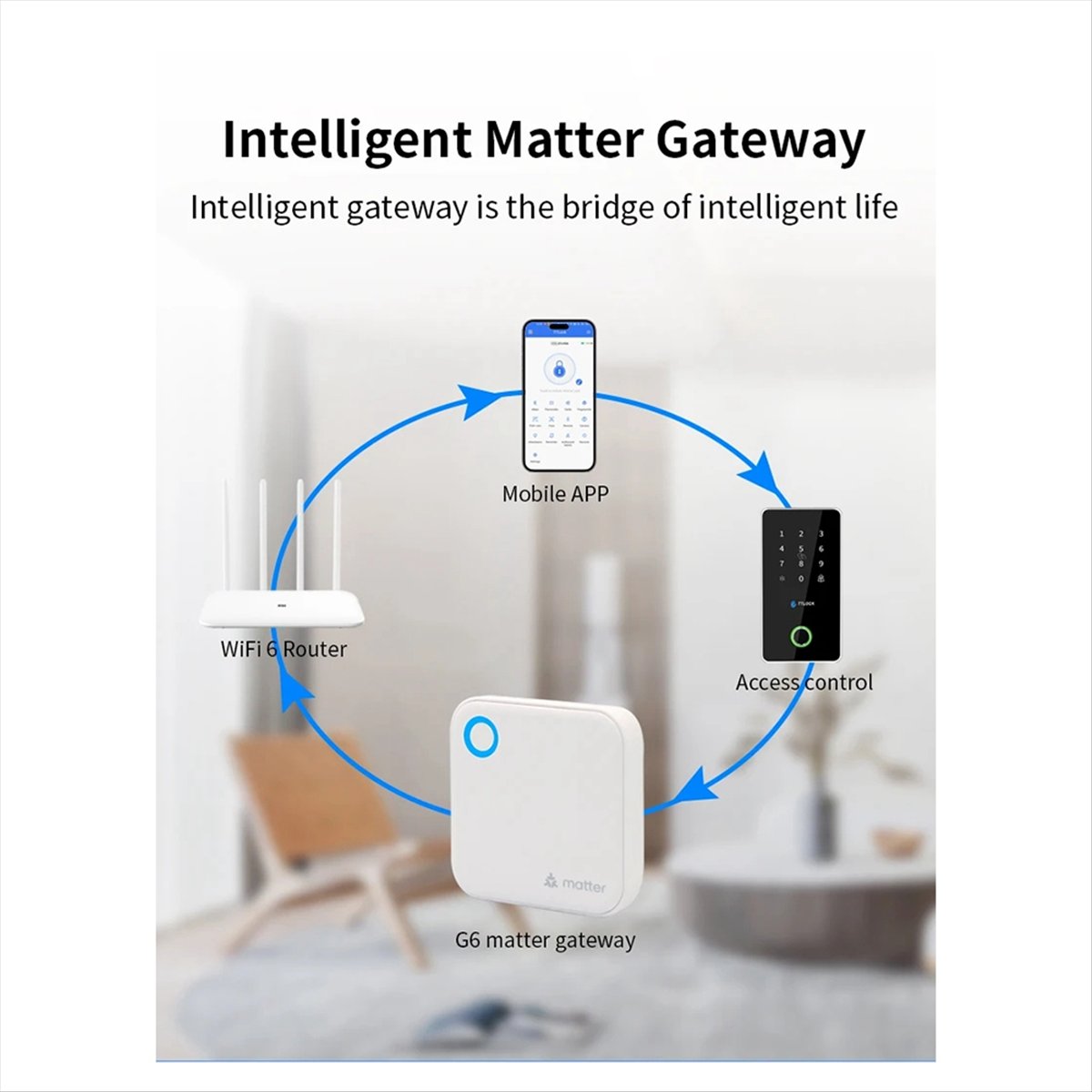 TTLOCK G6 スマート マター ゲートウェイ リモート - Smart Home Router のレビューと価格